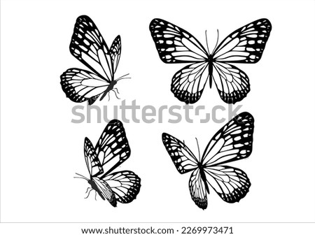 Set of realistic vector butterflies. Collection of vintage elegant illustrations of butterflies. 10 eps. Design element for your project