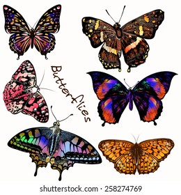 Set of realistic vector butterflies for design