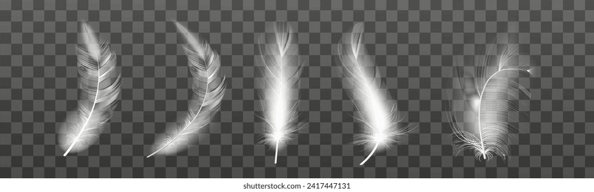 Set of realistic vector goose or swan feathers of various shapes. Ecological feather filler for pillows, blankets or jackets.Vector concept design,line art.