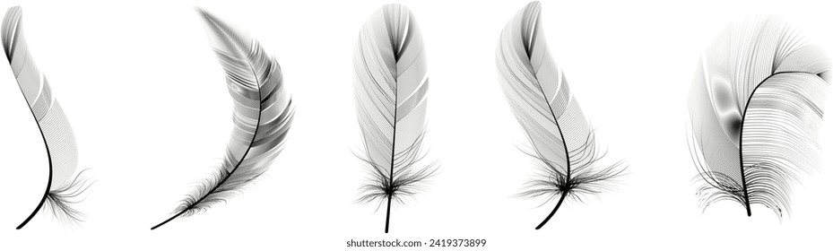 Set of realistic vector goose or swan feathers of various shapes. Ecological feather filler for pillows, blankets or jackets.Vector concept design,line art.