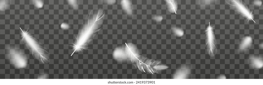 Set of realistic vector goose or swan feathers of various shapes. Ecological feather filler for pillows, blankets or jackets.Vector concept design,line art.