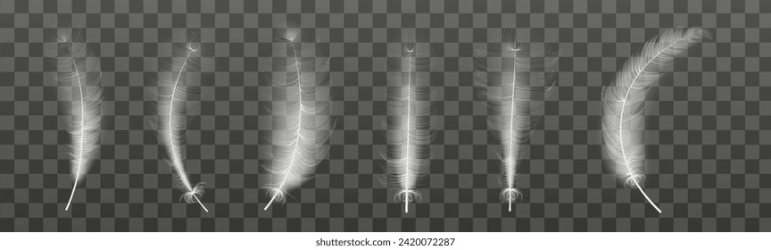Set of realistic vector goose or swan feathers of various shapes. Ecological feather filler for pillows, blankets or jackets.Vector concept design,line art.