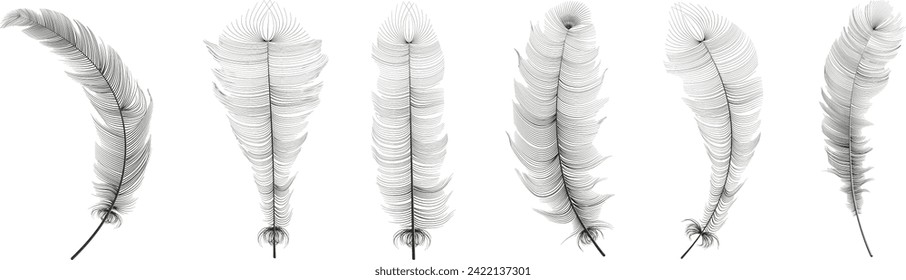 Conjunto de plumas vectoriales realistas de ganso o cisne de varias formas. Relleno de plumas ecológicas para almohadas, mantas o chaquetas.Diseño conceptual de vectores, arte de línea.