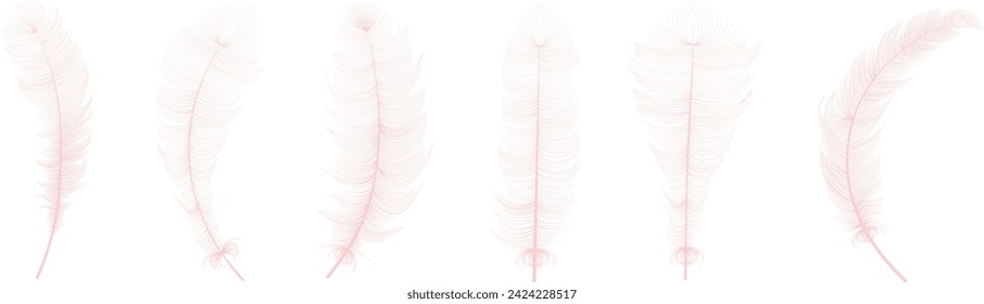 Satz von realistischen Vektor Gans- oder Schwanenfedern in verschiedenen Formen. Ökologischer Federfüller für Kissen, Decken oder Jacken. Vektor-Konzeptdesign, Line Art.