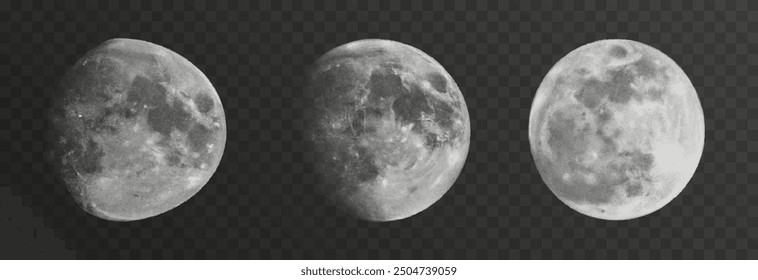 Set of realistic vector moon on an isolated transparent background. Moon vector png.