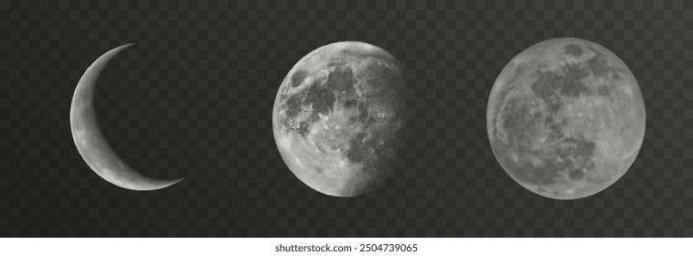 Set of realistic vector moon on an isolated transparent background. Moon vector png.