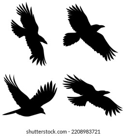 Set Realistic Vector Silhouettes Crows Isolated Stock Vector (royalty 