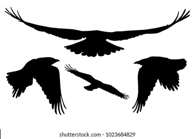 Set of realistic vector silhouettes of flying birds, isolated on white background