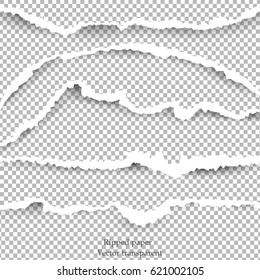 Set of Realistic vector torn paper with ripped edges. Torn page banner for web and print, sale promo, advertising, presentation. Damaged torn paper for design. vector 

vector illustration.