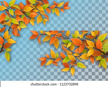 Set of realistic vector tree branches with autumn leaves. Yellow and red foliage. Element of natural design. Isolated on a transparent background.