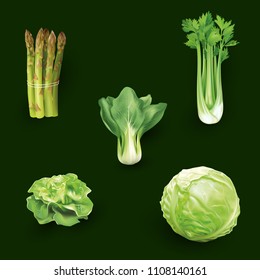 Set Of Realistic Vegetables Isolated On Green Background With Cabbage Asparagus Cantonese Salad, Vegetable  Vector Illustratio