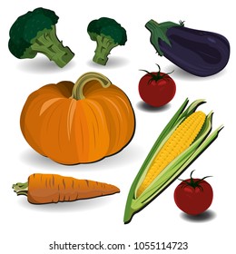 Set of realistic vegetables. Vector illustration