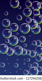  Set of Realistic Water or Soap Bubbles for Your Design. Soap Bubbles with Rainbow Reflection.Shampoo or Foam Cosmetic Flyer and Invite.  Isolated Vector Illustration.