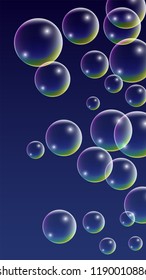  Set of Realistic Water or Soap Bubbles for Your Design. Soap Bubbles with Rainbow Reflection.Shampoo or Foam Cosmetic Flyer and Invite.  Isolated Vector Illustration.