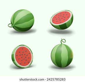 Set of realistic watermelons in different positions. Whole vector object and half