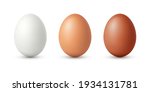 Set of realistic white , dark and light brown chicken eggs. Vector illustration isolated on white background