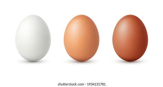 Set of realistic white , dark and light brown chicken eggs. Vector illustration isolated on white background