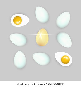 Set of realistic white , dark and light brown chicken eggs. Vector illustration isolated on white background