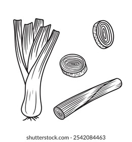 Set of realistic whole leek with long, layered leaves and small roots slices in black on white. Hand drawn vector sketch illustration in doodle engraved vintage style. Botanical illustration, cooking.