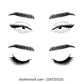 Set of realistic woman eyes. Female lashes and eyebrows. Lamination and extension eyelashes. Beauty studio logo. Linear vector Illustration in trendy minimalist style.