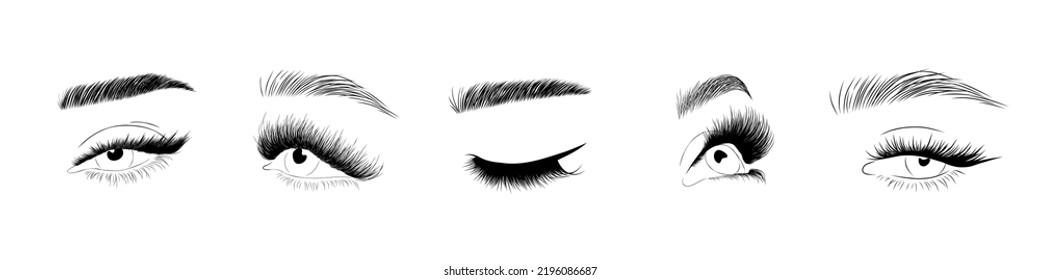 Un conjunto de ojos de mujer realistas. Las mujeres latigazos y cejas. Laminación y pestañas de extensión. Logo del estudio de belleza. Vector lineal Ilustración en estilo moderno minimalista.