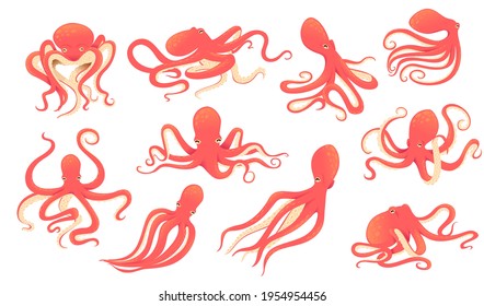 Set Of Red Adult Octopus Underwater Ocean Animal Cartoon Animal Design Vector Illustration On White Background