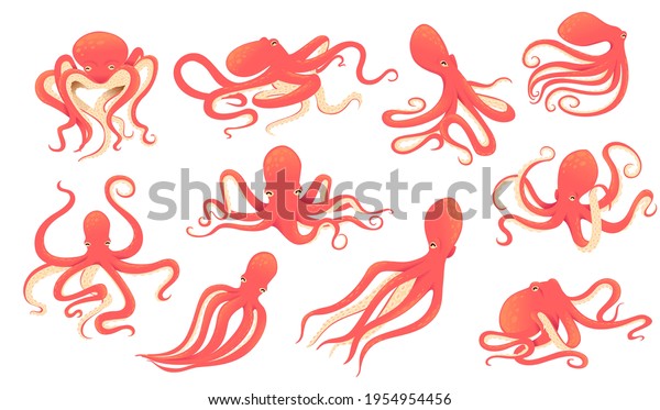 Set of red adult\
octopus underwater ocean animal cartoon animal design vector\
illustration on white\
background