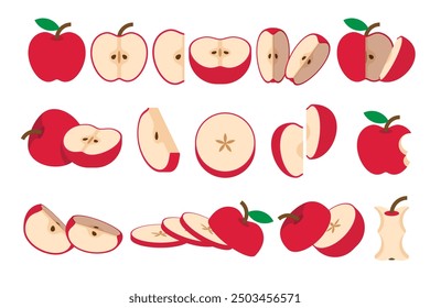 Set of Red Apple, Farm fresh Apple product emblem for grocery shop, Slides, long and cross sections, and different positions, simple flat vector illustration of vegetables and fruits.