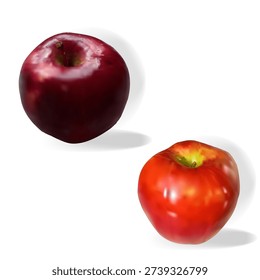 A set of red apple illustrations in a soft photorealistic style using gradients with soft shadows. The natural, fresh fruit is isolated on a white background. Suitable for designs related to food