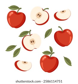 Set of red apples with leaves isolated on white background. Whole, half and slices of ripe juicy fruit. Summer harvest. Illustration