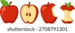 Set red apples. Ripe, half, whole and bitten apple, an apple stump isolated on white background. Vector illustration in flat style