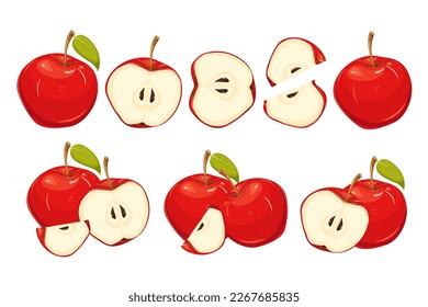 Un conjunto de manzanas rojas.Manzanas enteras, cortadas, divididas a la mitad, en cuarentena.Frutos jugosos.Ilustración vectorial.