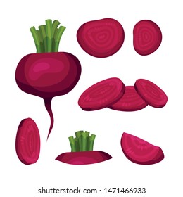 Set of red beets. Vector illustration on white background.