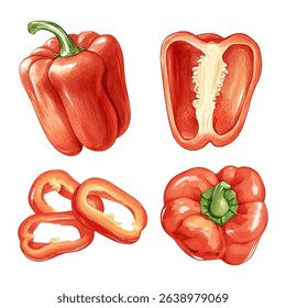 Set of red bell peppers with sliced elements in watercolor style. Vector illustration. 