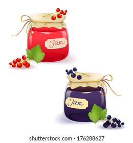 set red and black currant jam. vector illustration