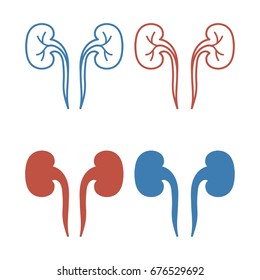 Set of red and blue kidneys. Human kidney icon. Medical science vector illustration