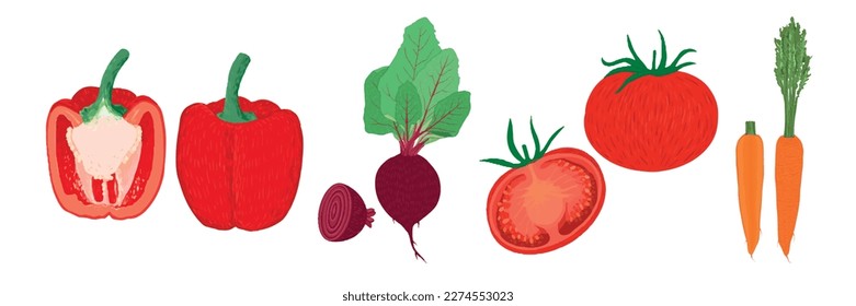 Set of red bright vegetables collection hand-drawn. Vector illustration of pepper, beetroot, tomato, carrot. Isolated on a white background.