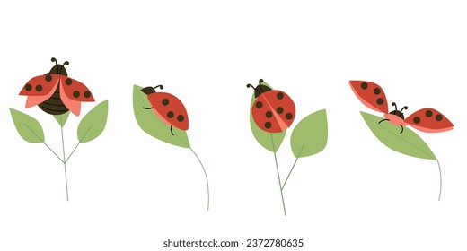 set of red bugs and beetles on green leaves