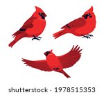 Set of red cardinales birds in different poses. Sitting and flying Red Cardinal Bird icons isolated on white background. Vector illustration.