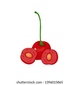 set of red cherries vector illustration
