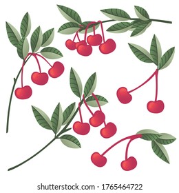 Set of red cherry berry on tree branches with green leaves flat vector illustration isolated on white background