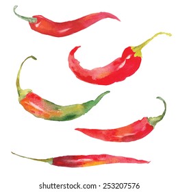 set of red chili pepper drawing by watercolor, hand drawn vector illustration