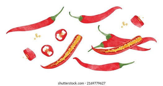 Set of Red Chili pepper with leaves Design elements. watercolour style vector illustration.	