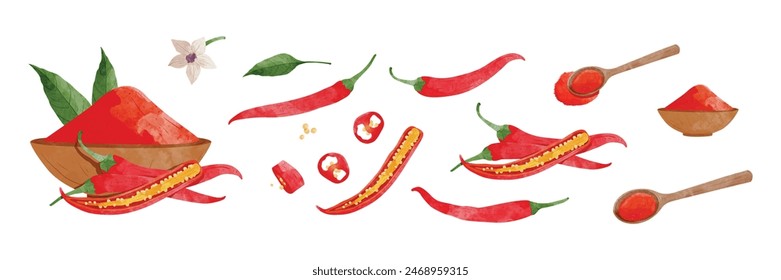 Set of Red Chili pepper with leaves Design elements. watercolour style vector illustration.