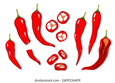 Set of red chili peppers. Hot red pepper slices, whole, half. Vector illustration.