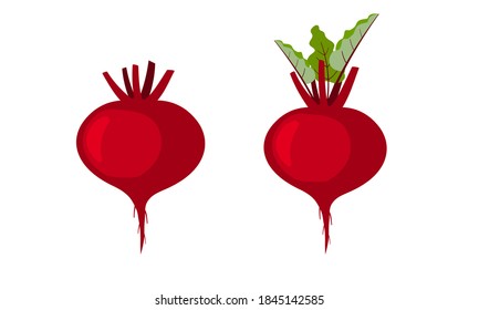 Set of red color root vegetable with green leaves.