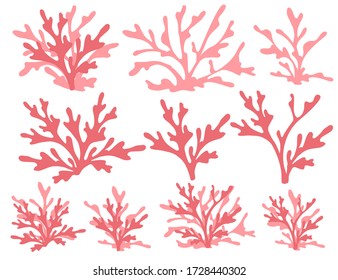 Set of red coral seaweeds silhouettes flat vector illustration isolated on white background