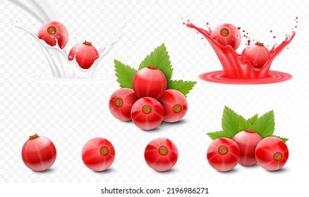 Set of red currants, berries in juice, currants in milk or yogurt splash, realistic 3d isolated vector illustration