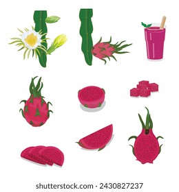 Set of Red Dragon Fruit flat vector isolated on white background. Whole and sliced dragon fruit. Pitaya. Tropical fruits.