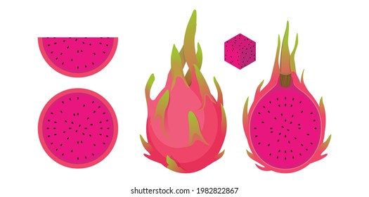 Set of red dragon fruits and sliced red dragon fruits (whole, half, slice, cube) isolated on white background with cartoon style.